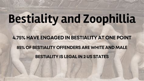 Bestiality Definition & Meaning